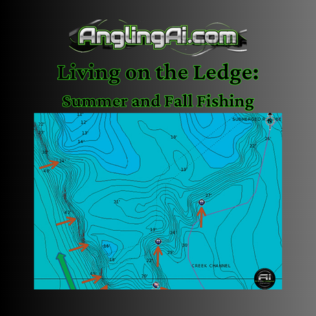 Living on the Ledge: Summer and Fall Fishing