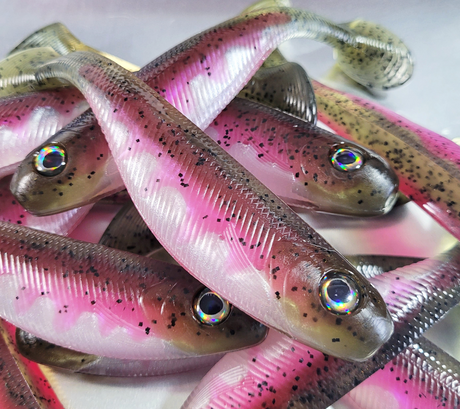 What Bait Mold Should I Buy First? A Buyer's Guide by Budget and Style
