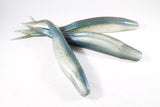 8" Split Tail Shad Mold