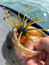 Sweetgum HD 110mm - 25 mm Lure Mold